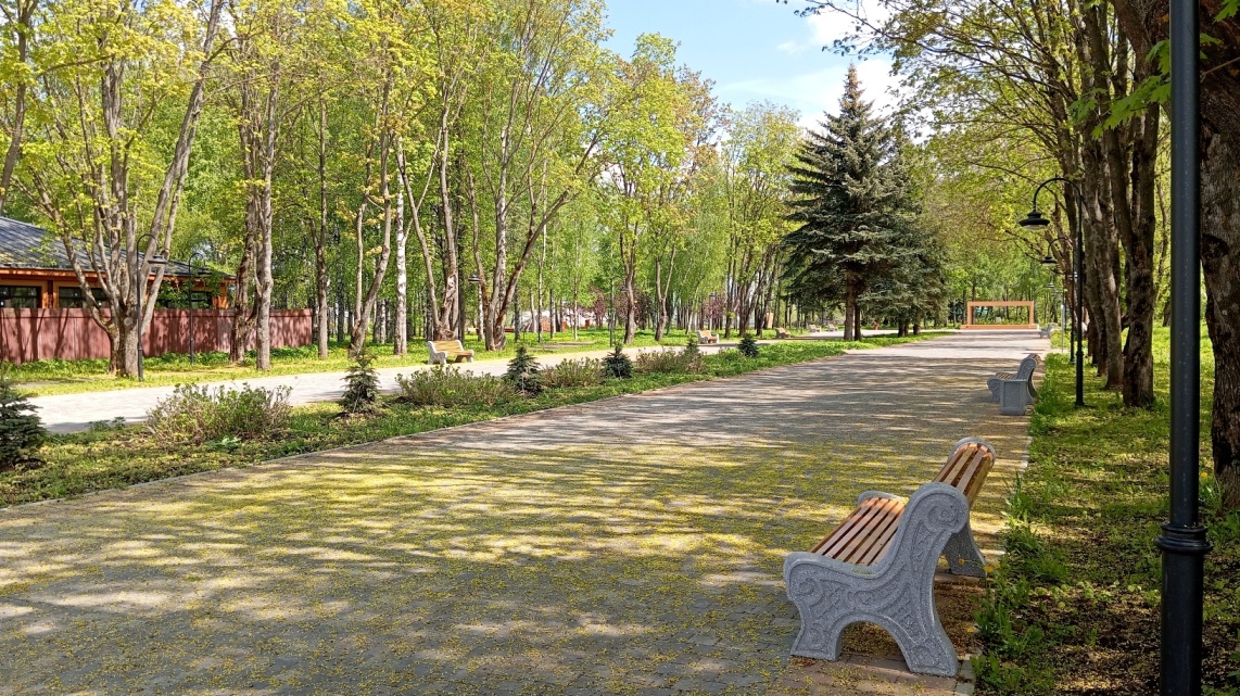 городской парк Суздаля
